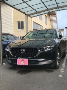 CX-30