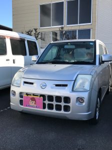 ピノ