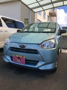 プレオプラス