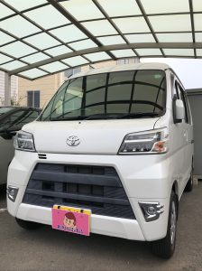 ピクシスV